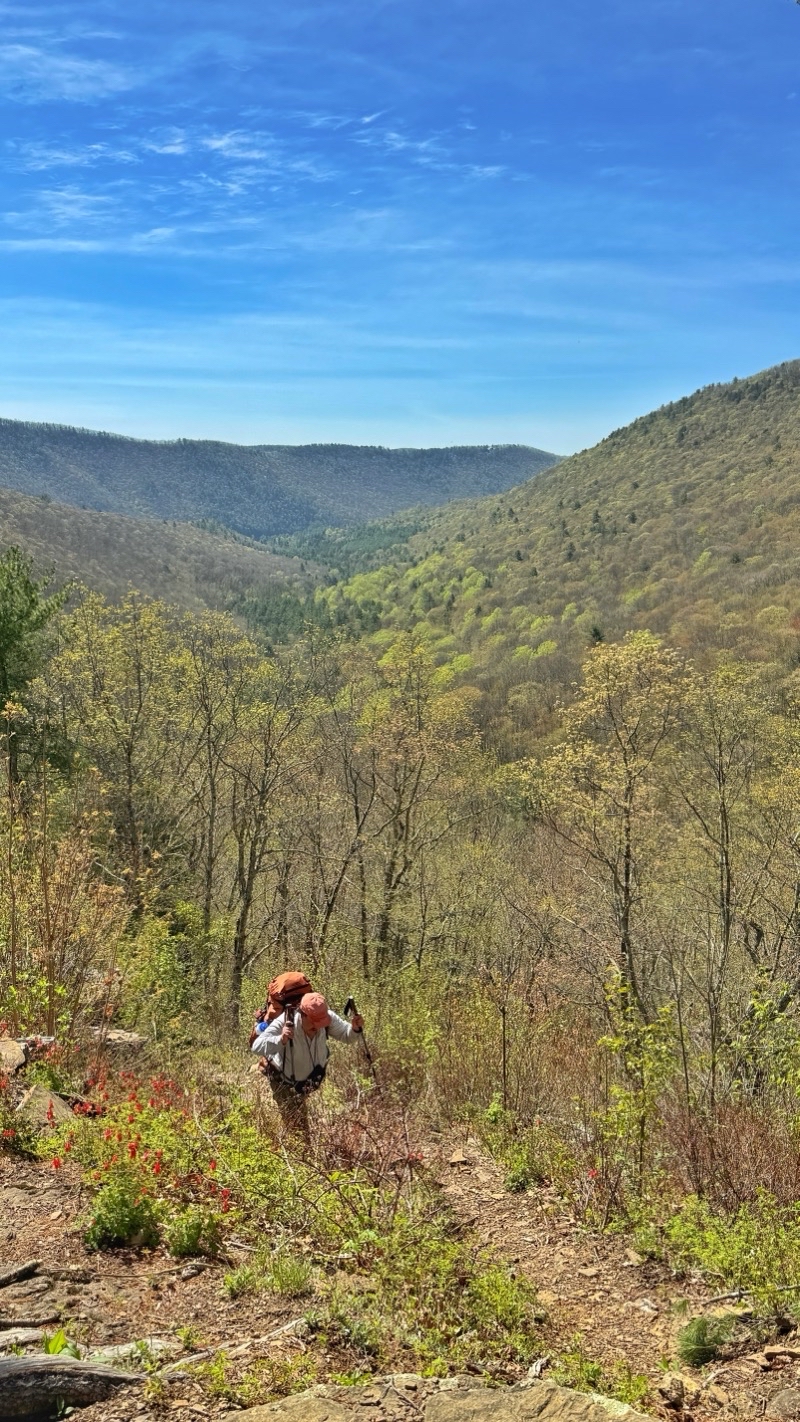 Photo taken Apr 30, 2025 at 10:43 AM