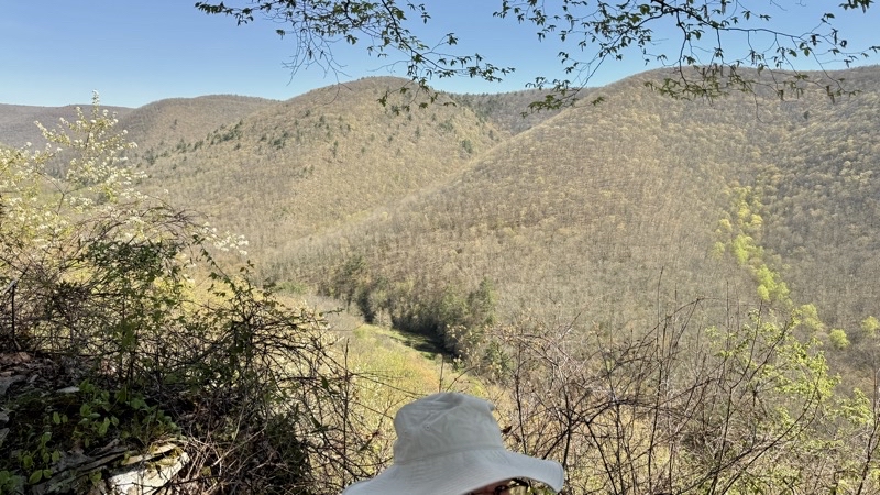 Photo taken Apr 30, 2025 at 10:45 AM