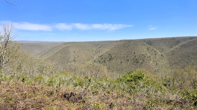 Photo taken Apr 30, 2025 at 12:06 PM