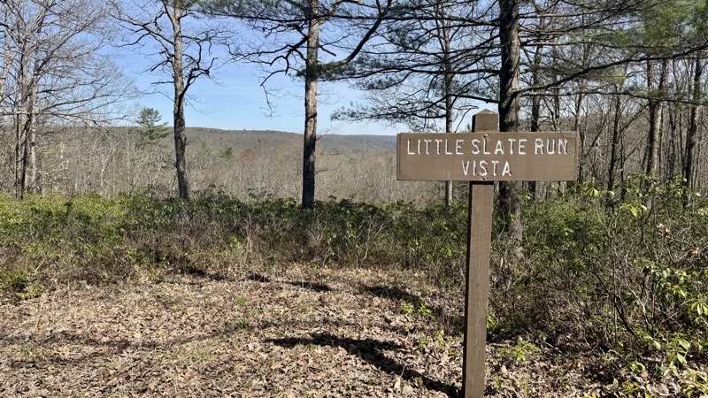 Photo taken Apr 30, 2025 at 3:25 PM