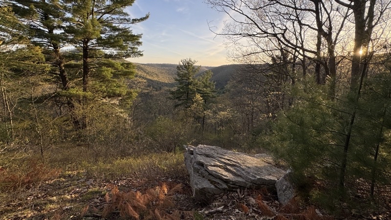 Photo taken Apr 30, 2025 at 7:27 PM