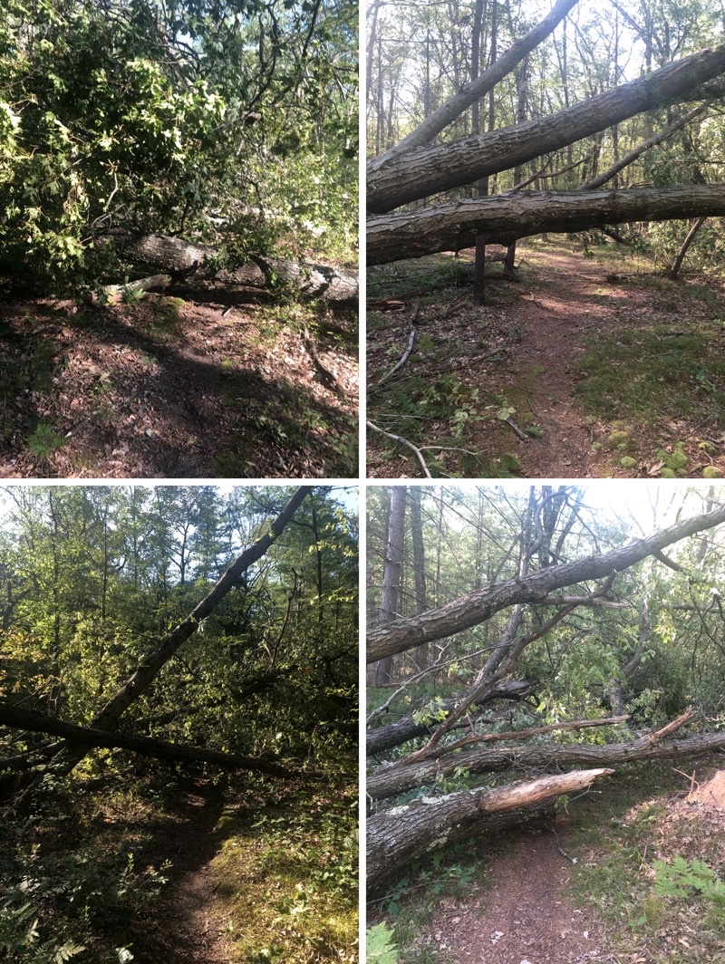 Photo taken Aug 14, 2021 at 6:12 PM 