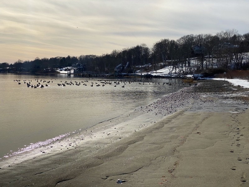 Photo taken Dec 19, 2020 at 1:02 PM 