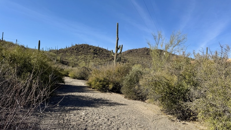 Photo taken Feb 18, 2025 at 9:43 AM 