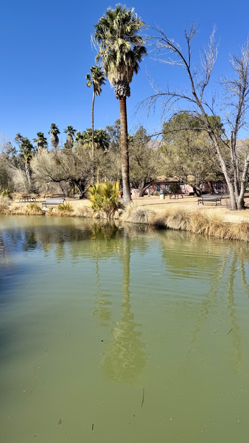 Photo taken Feb 18, 2025 at 2:31 PM 