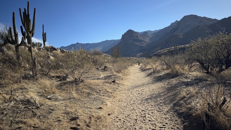 Photo taken Feb 20, 2025 at 9:01 AM 