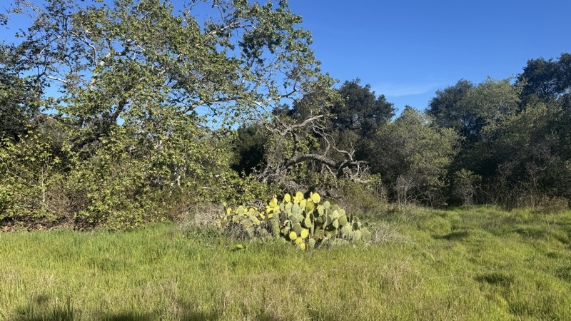 Photo taken Feb 26, 2026 at 9:08 AM