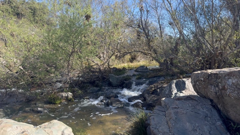 Photo taken Feb 26, 2026 at 10:30 AM