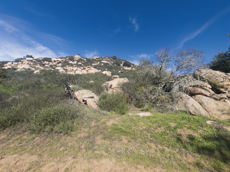 Photo taken Feb 27, 2026 at 10:32 AM 