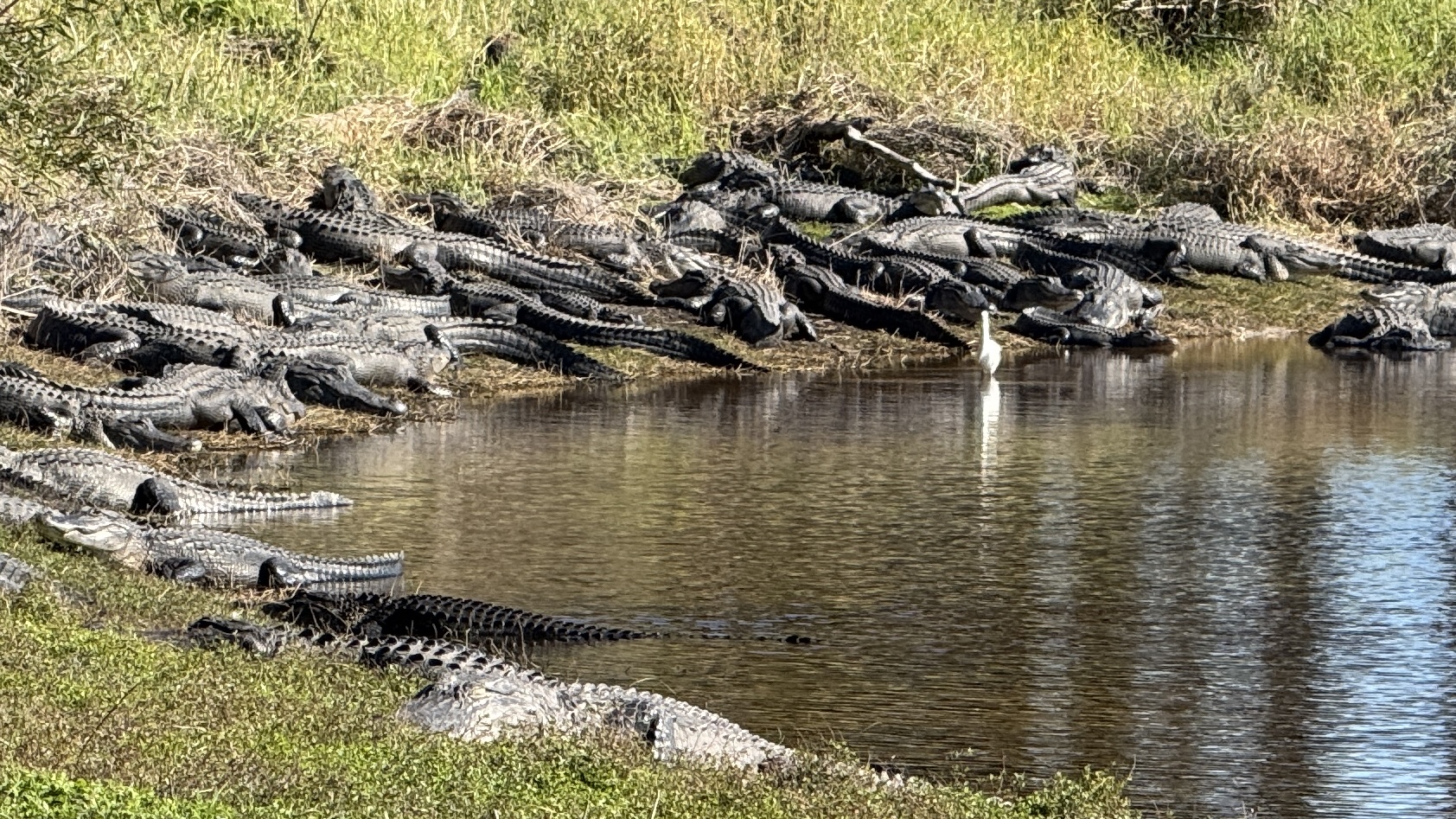 Photo taken Jan 9, 2025 at 11:22 AM 