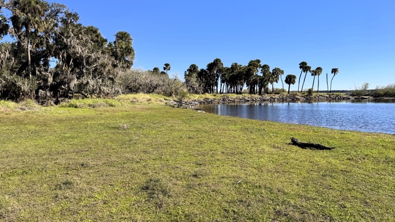 Photo taken Jan 9, 2025 at 11:22 AM 