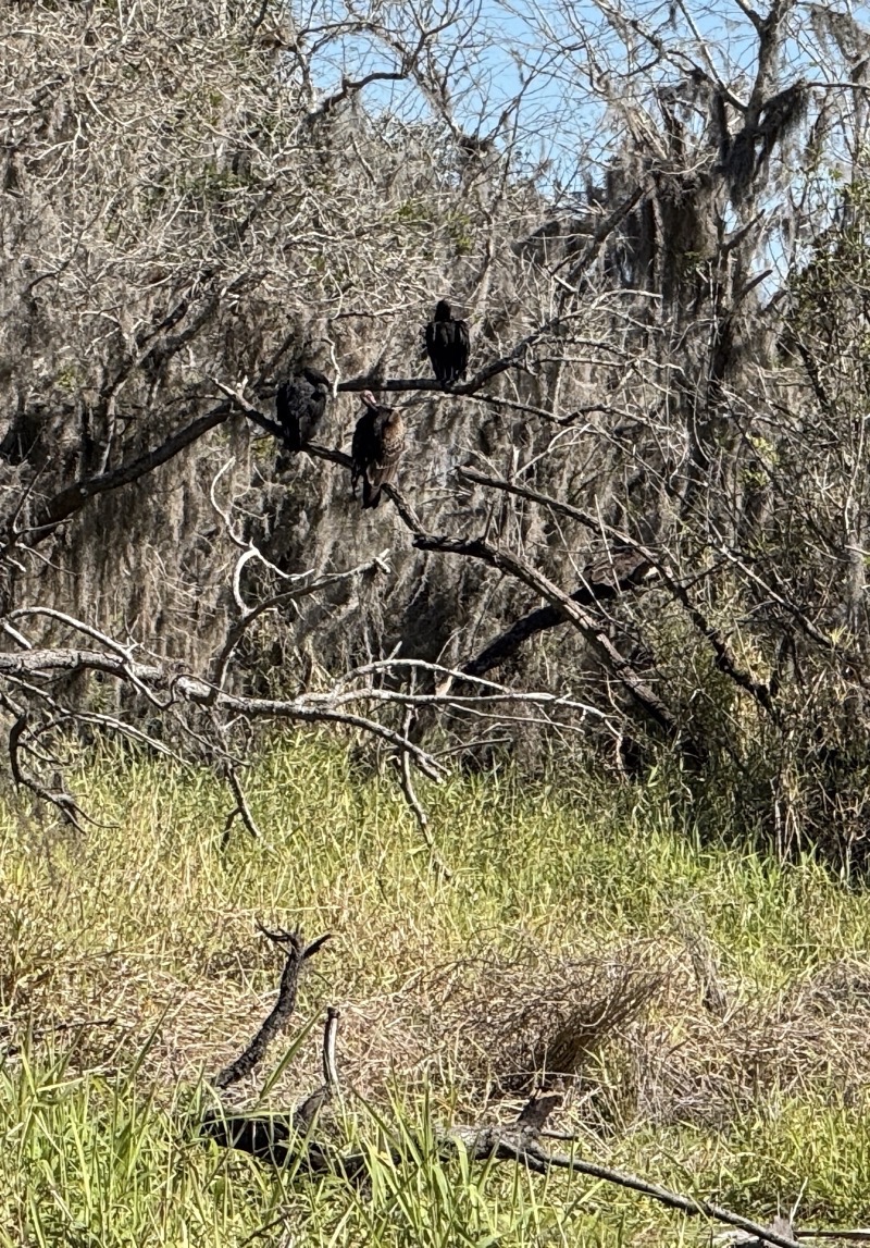 Photo taken Jan 9, 2025 at 11:33 AM 