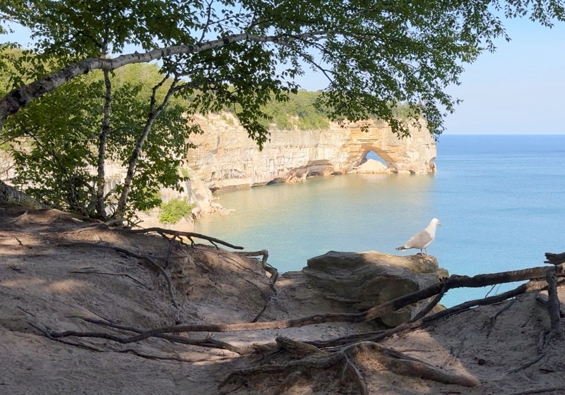 Photo taken Jul 4, 2025 at 9:28 AM 