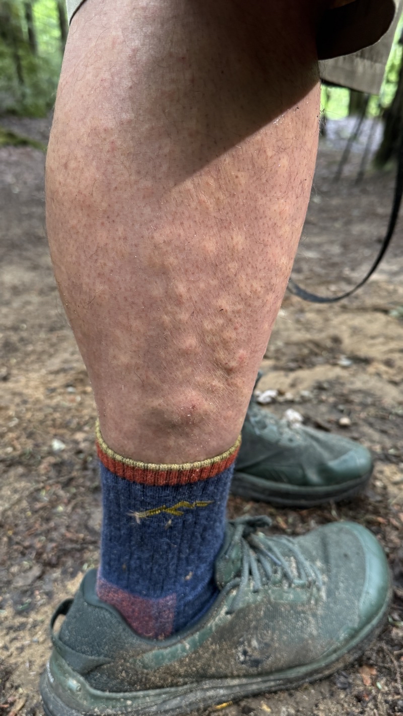 Photo taken Jul 6, 2025 at 9:42 AM 