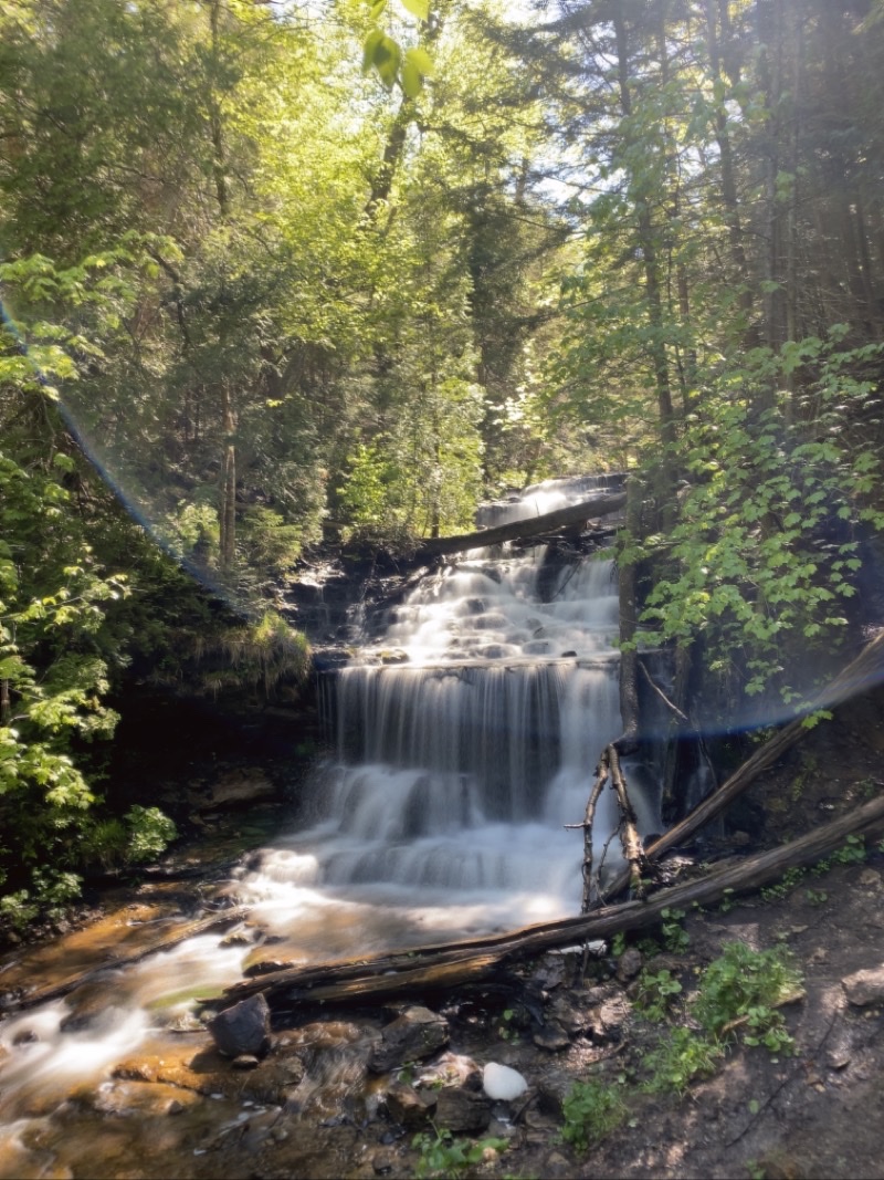 Photo taken Jun 1, 2021 at 10:43 AM 