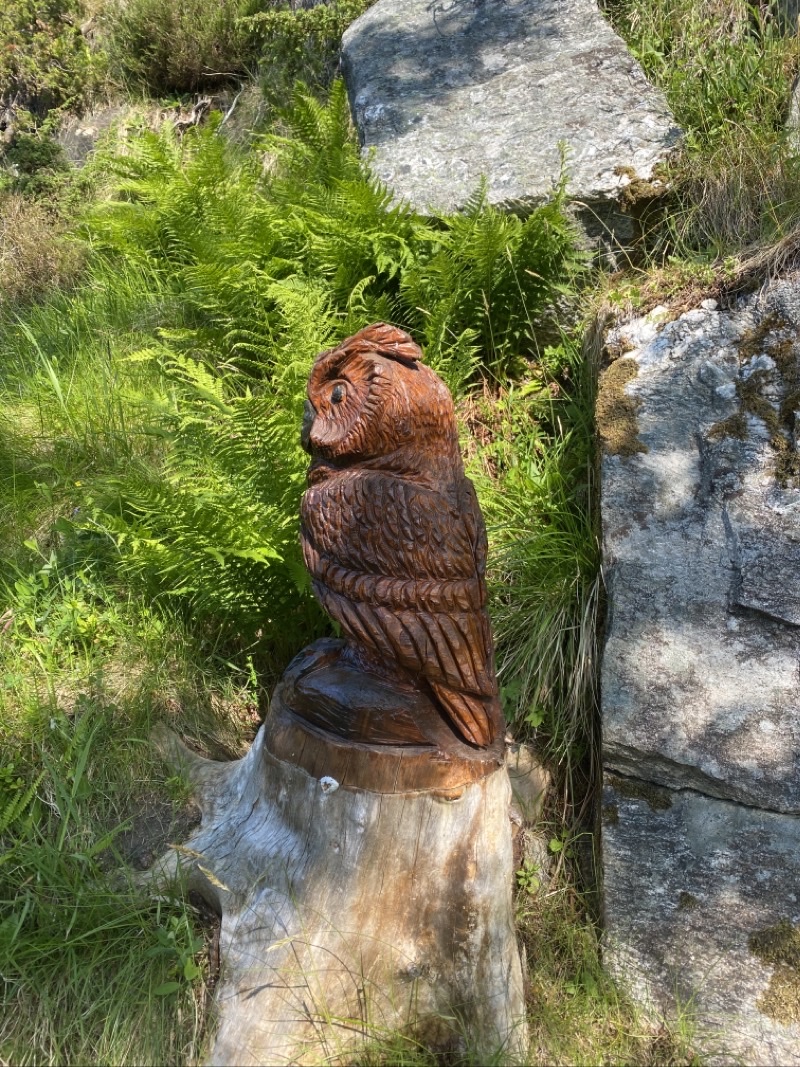 Photo taken Jun 19, 2023 at 10:12 AM 