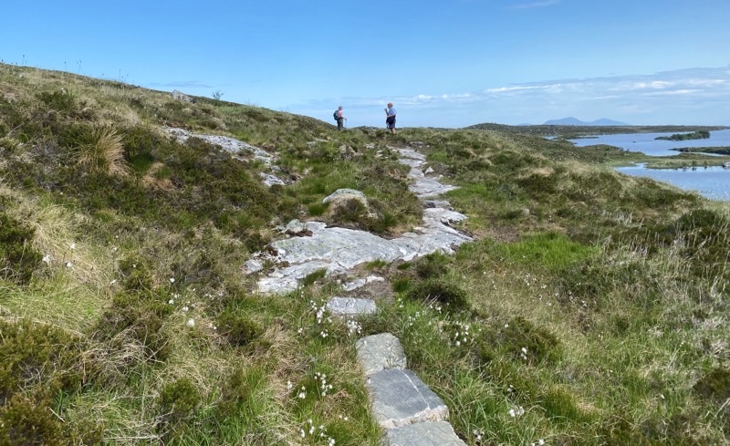 Photo taken Jun 19, 2023 at 12:08 PM 