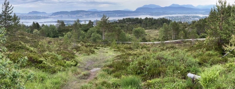 Photo taken Jun 20, 2023 at 10:15 AM 