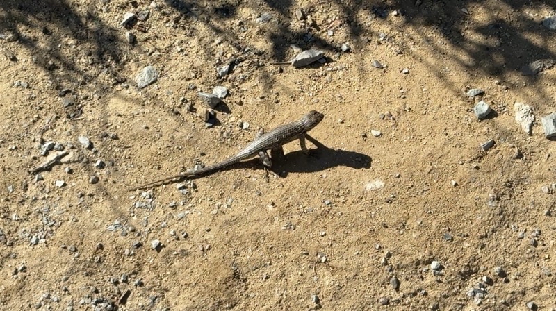 Photo taken Mar 1, 2026 at 12:16 PM