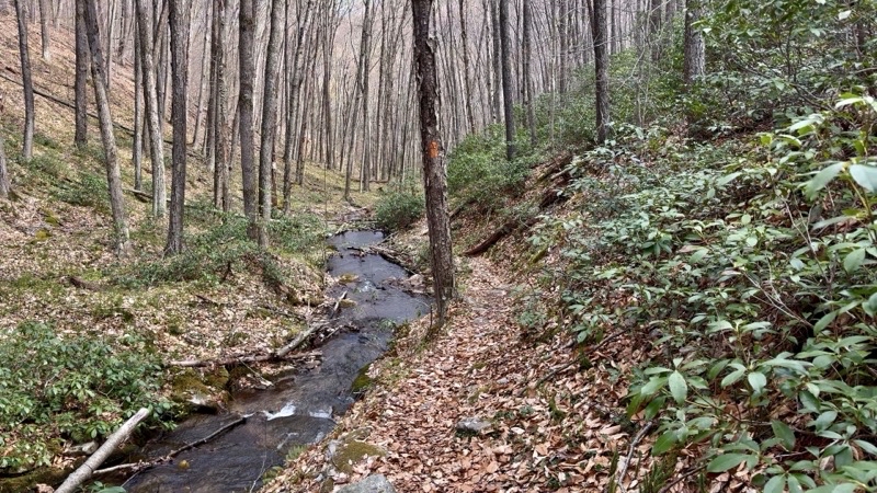 Photo taken May 1, 2025 at 9:38 AM