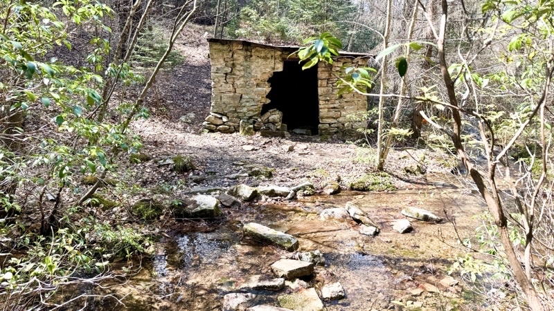 Photo taken May 1, 2025 at 11:31 AM