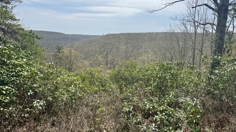 Photo taken May 1, 2025 at 1:01 PM