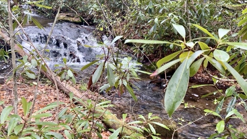 Photo taken May 1, 2025 at 7:43 PM