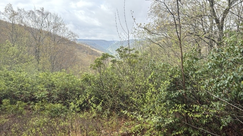 Photo taken May 2, 2025 at 8:53 AM