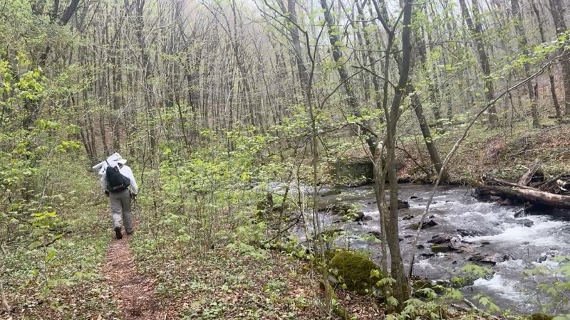 Photo taken May 2, 2025 at 10:22 AM