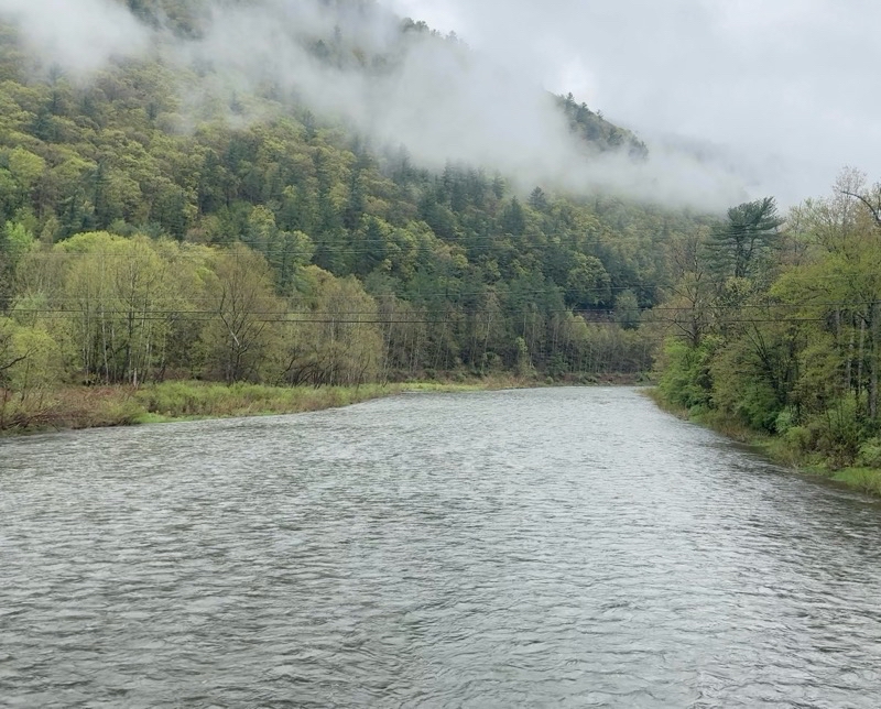 Photo taken May 3, 2025 at 10:52 AM