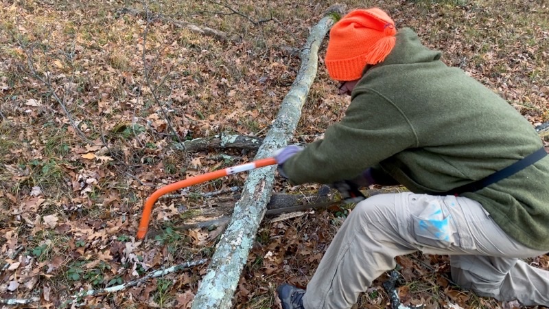 Photo taken Nov 11, 2022 at 4:22 PM 