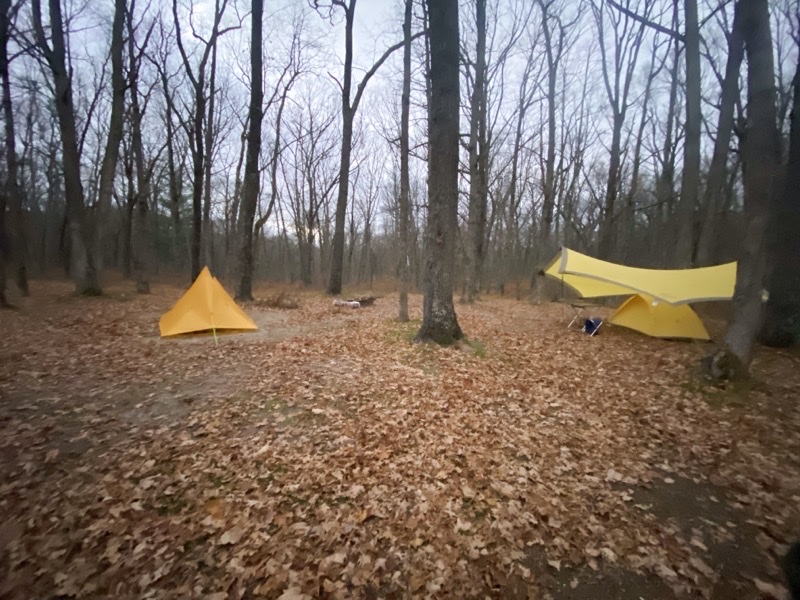 Photo taken Nov 11, 2022 at 5:36 PM 