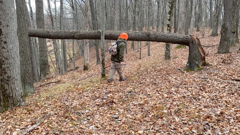 Photo taken Nov 12, 2022 at 11:57 AM 