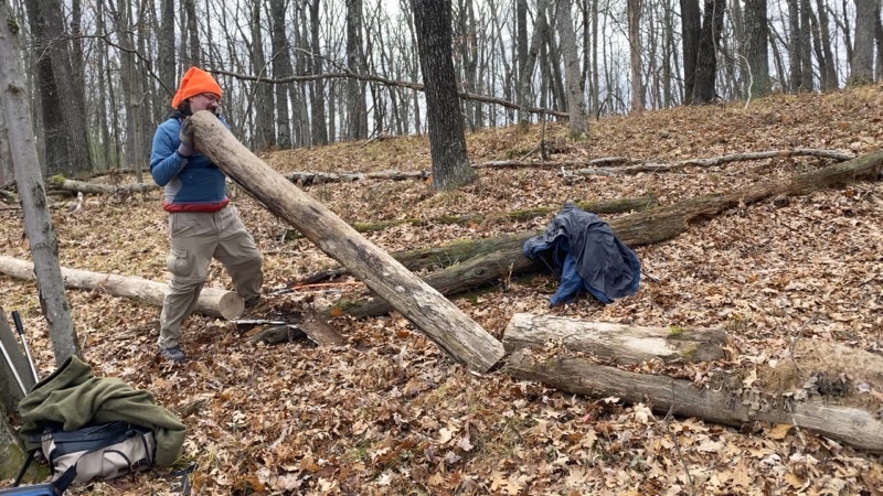 Photo taken Nov 12, 2022 at 12:16 PM 