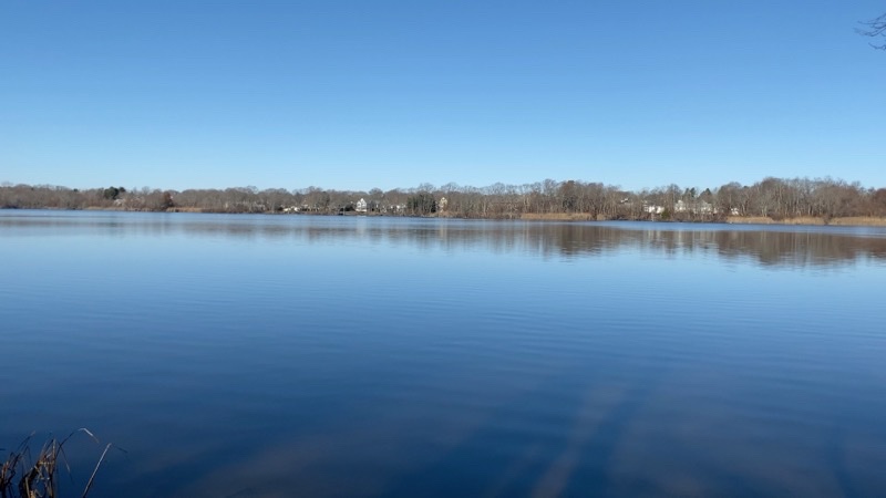 Photo taken Nov 29, 2020 at 11:22 AM 