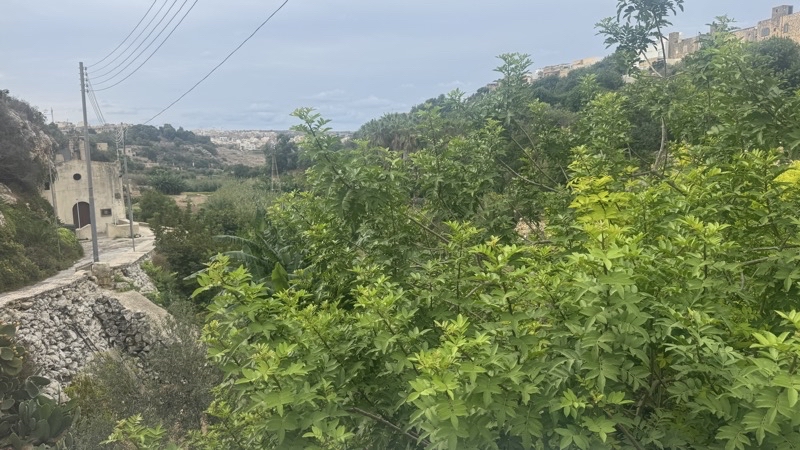 Photo taken Sep 19, 2026 at 9:53 AM 